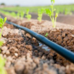 Drip Irrigation Systems