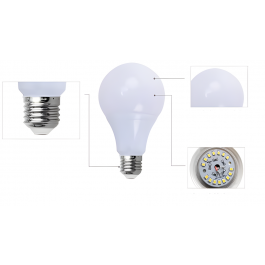 Light B12 – 12V 12W LED Bulb